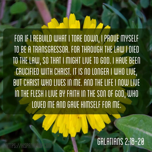 A yellow flower with Galatians 2:18–20, including being crucified with Christ and living by faith in Him.